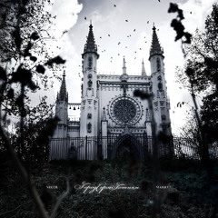 NIKER & Markul — Город серой готики