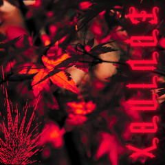 equinox // 9.22.2025