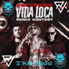 DRS FT ANDY THE CORE - VIDA LOCA - (N-VADE & I AM HOGG REMIX)