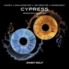 Cypress (Anver Wolf Extended Bootleg)
