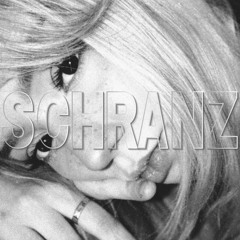 SCHRANZ LYCHEE 02 | (Bentech,  In Verruf , RYX , Svetec , Luciid, HELLBOUND!, Flunkert...)
