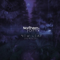 Northern Form - Trees Float (Lapa Remix)