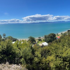 Tapapakanga Regional Park 8