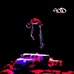 Andrew Nitts - ACiD