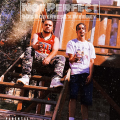 90sBabyReese X WeeBey- Not Perfect