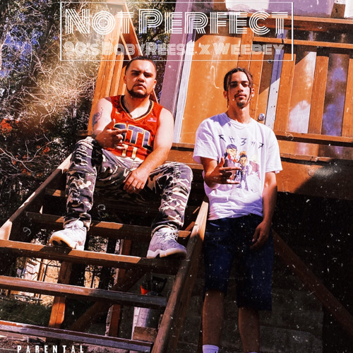 90sBabyReese X WeeBey- Not Perfect
