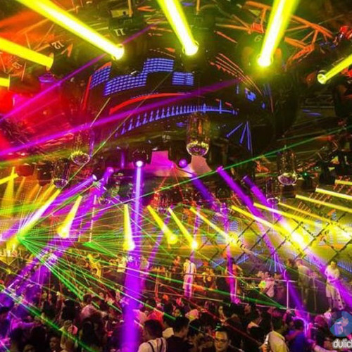 Đi Cảnh 2022 Fly in my room 1