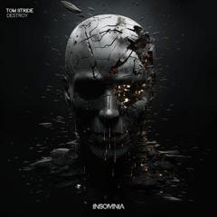 Tom Stride - Traffic (Original Mix) [INSOMNIA]