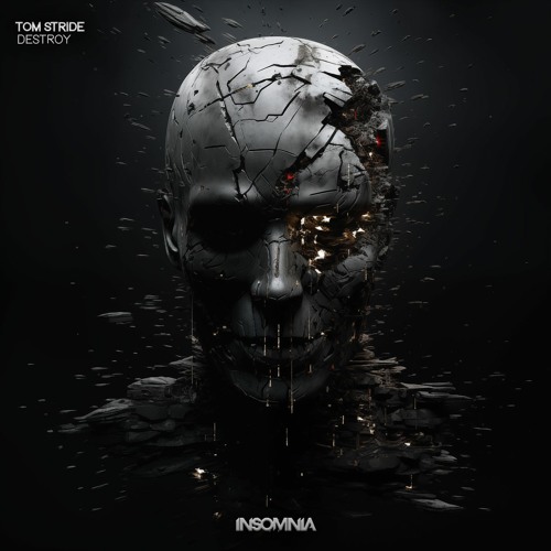 Tom Stride - Traffic (Original Mix) [INSOMNIA]