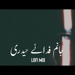 JAANAM FIDA E HAIDERI - Lofi Mix | Sadiq Hussain | Afternight vibes