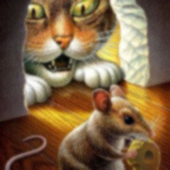 Cat and Mouse