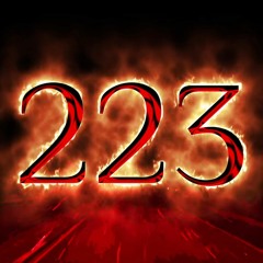 Mc Igu - 223
