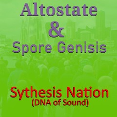 Synthesis Nation (DNA of Sound)