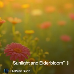 Sunlight .