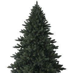 화이트데이