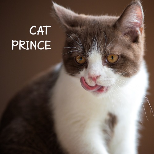 Stream episode Cat Prince (extended fx) - Instrumental Music | Comedy Music  | Background Music (FREE DOWNLOAD) by Beepcode Media Production podcast |  Listen online for free on SoundCloud
