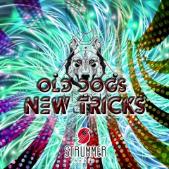 Old Dogs ॐ New Tricks