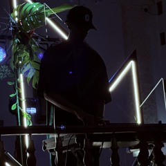 DIN4L- EP - #006 (ORGANIC HOUSE SESSION)