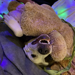 left MS guitar trippy r - 6/27/20, 1.34 PM