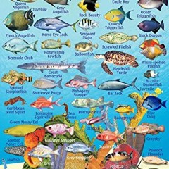 [VIEW] [EBOOK EPUB KINDLE PDF] Bonaire Reef Creatures Guide Franko Maps Laminated Fis