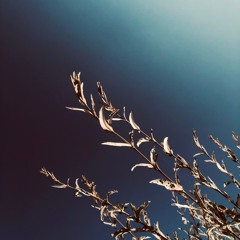 Girard - Charest / Scemama / Malmendier