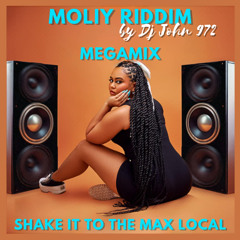 SHAKE IT TO THE MAX LOCAL (DJ JOHN 972)