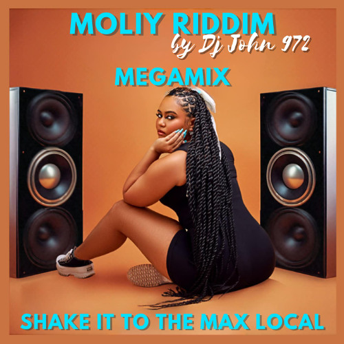 SHAKE IT TO THE MAX LOCAL (DJ JOHN 972)