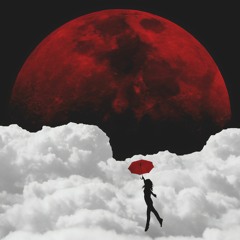 Fly Me Away