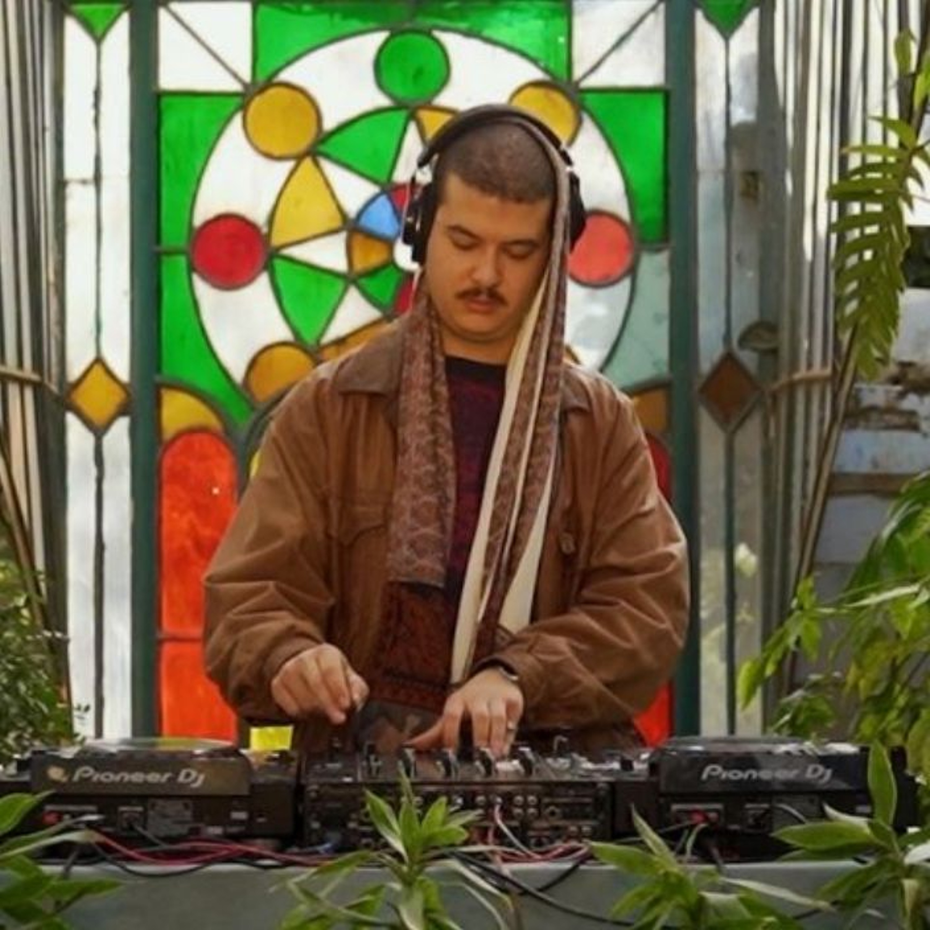 Houseplant 023 | Azzouni episode artwork