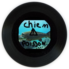 Le Poisson-Chien (TW tribe de cassos)