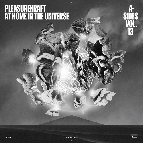 At Home in the Universe [Drumcode]