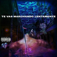 Te Vas Marchando Lentamente