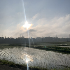 かみさまの息吹