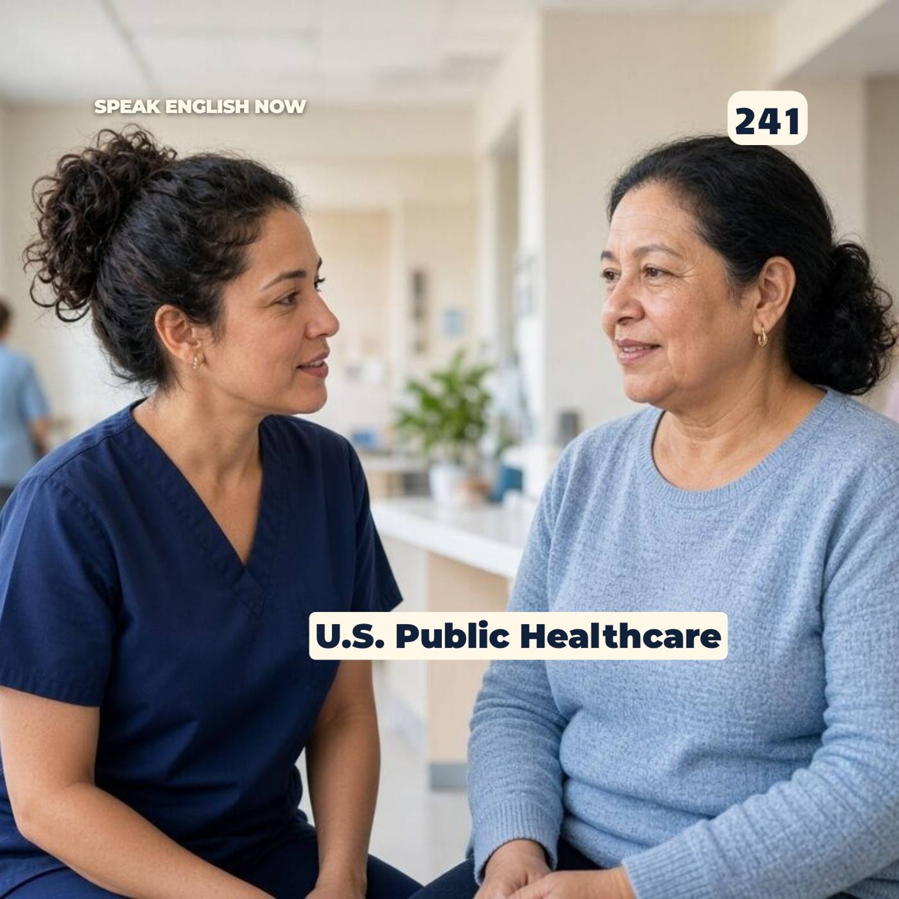 #241 The Public Healthcare System in The U.S. episode artwork