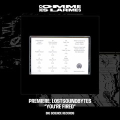 PREMIERE CDL \\ LostSoundBytes - You're Fired [Big Science Records] (2022)