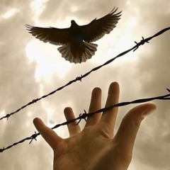 مختارات من إلقاء: عبداللّه العنزي