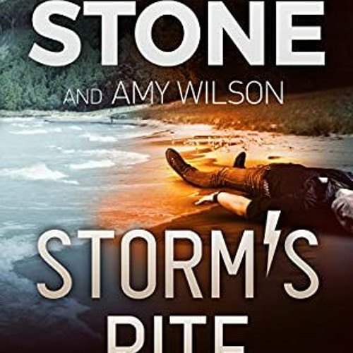 [PDF] ❤️ Read Storm's Rite (Amelia Storm FBI Mystery Series Book 6) by  Mary Stone