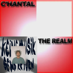 Keinemusik, C'hantal - What You Expected The Realm (FELECS Mashup) FREE DOWNLOAD