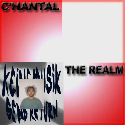 Keinemusik, C'hantal - What You Expected The Realm (FELECS Mashup) FREE DOWNLOAD