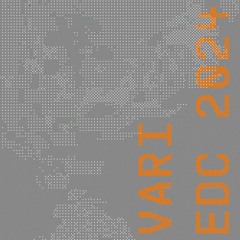 VARI // EDC 2024