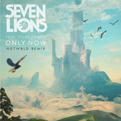 Seven Lions - Only Now (ft. Tyler Graves) [NXTWRLD Remix]