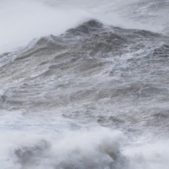 We’re Trying Our Best