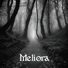 Meliora (String orchestra version)