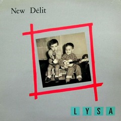 NEW DELIT - LYSA MIX ETENDU