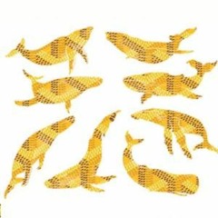 MAGIC INSIDE PROD ILOVEBEARS