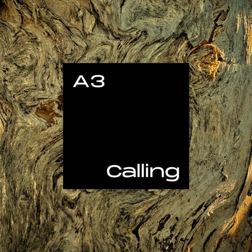 A3 - Calling