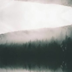 Wayfie - Stay Here Please (limbow flip)