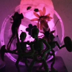 Bliss; Call It What You Want