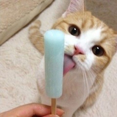 Icecream