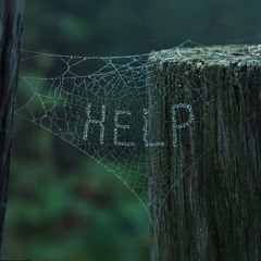 Web